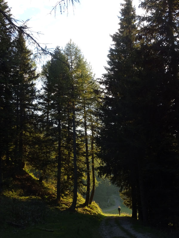 Catena dei Lagorai...da Pergine al Passo del Manghen